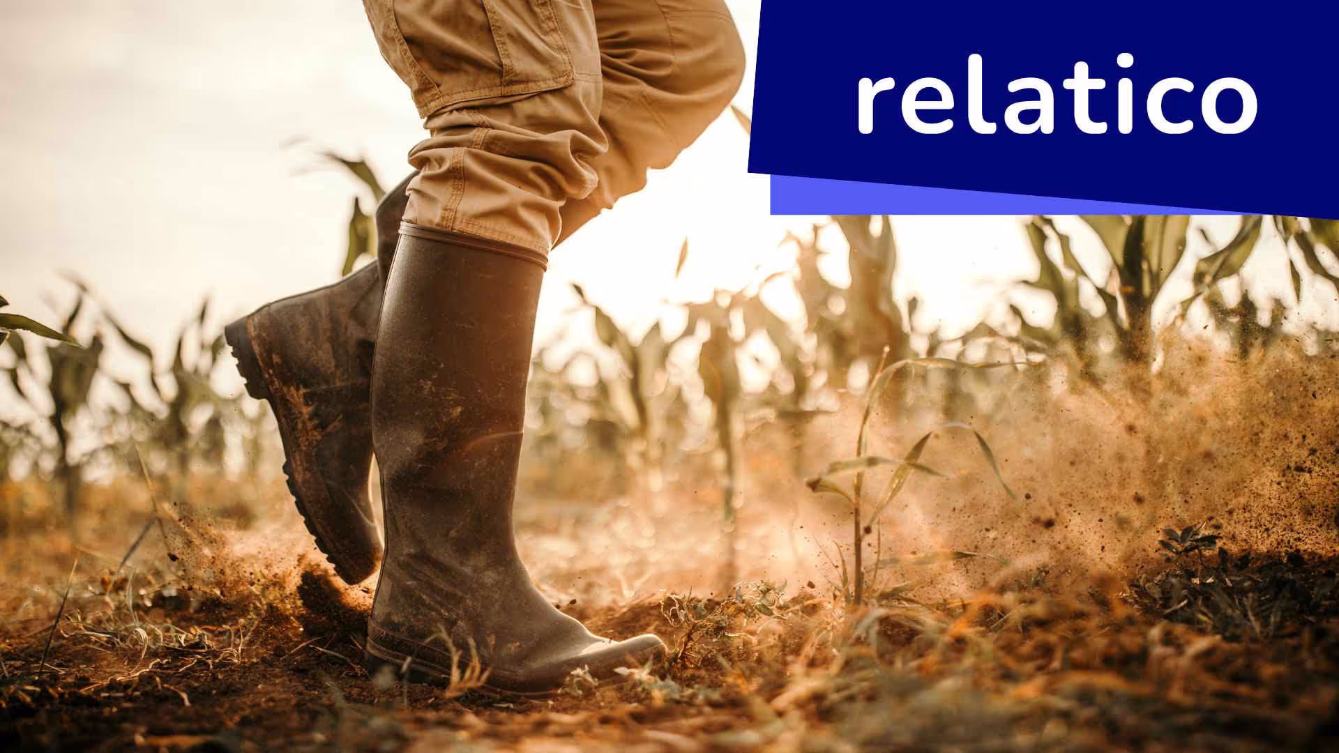 Descubra más sobre la eficacia de los proyectos destinados a los pequeños agricultores y las transferencias directas de dinero en el contexto del software SRM y la sostenibilidad. Descubra cómo la innovadora iniciativa de renta básica de Give Directly en Kenia está transformando la ayuda agrícola tradicional, fomentando el desarrollo sostenible y demostrando el potencial del software SRM para apoyar el empoderamiento económico y la protección del medio ambiente.