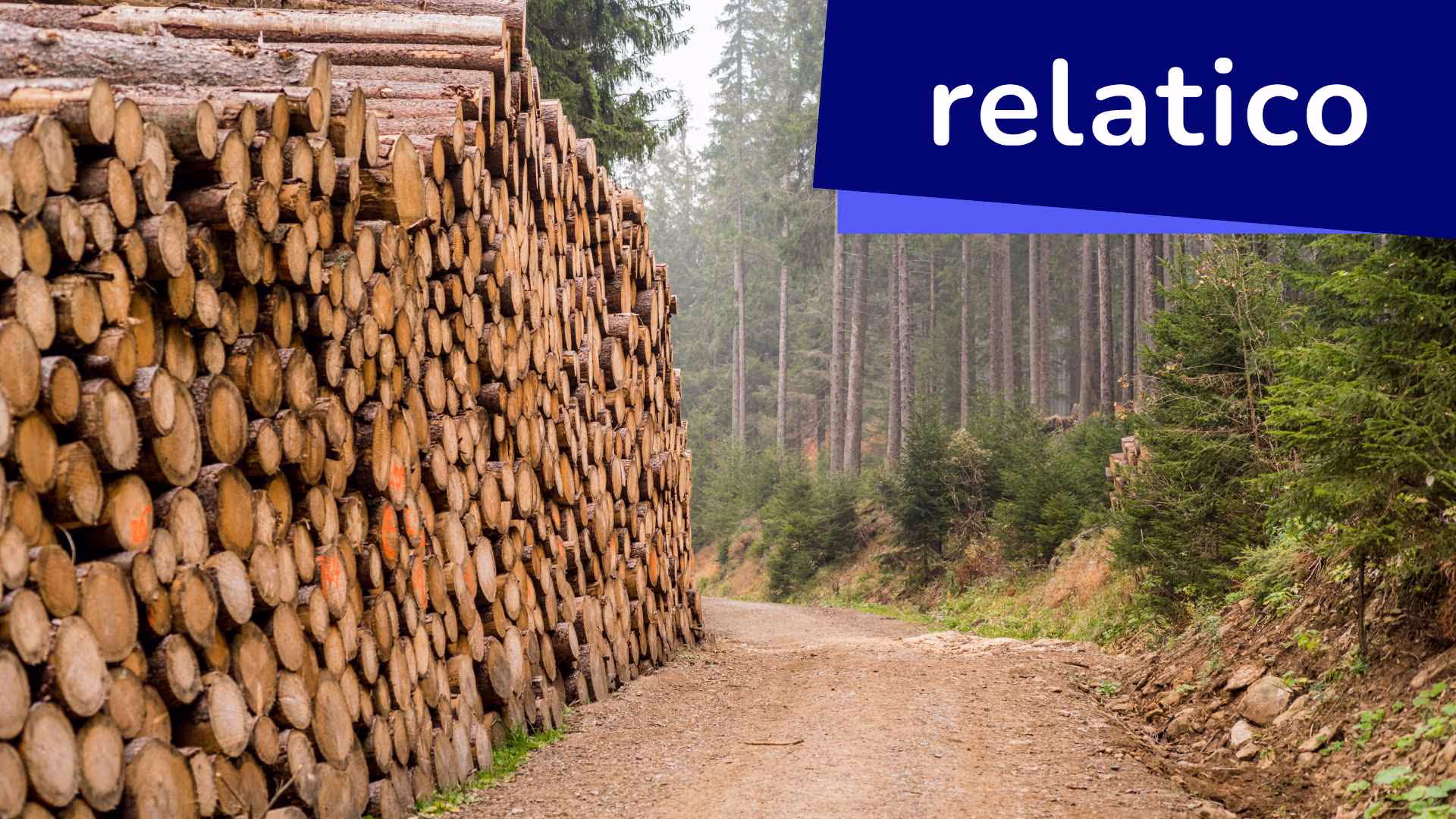 Obtenga más información sobre el Reglamento de la UE sobre la tala (EUDR) de 2023, las prácticas comerciales sostenibles, el cumplimiento del EUDR, la política medioambiental de la UE, la transparencia en la cadena de suministro y la responsabilidad empresarial. Lectura imprescindible para empresas y expertos en sostenibilidad que se enfrentan a los nuevos reglamentos de la UE.